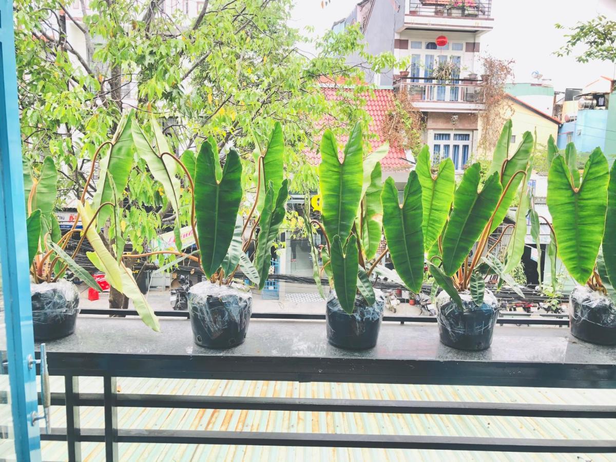 An'S Family Homestay Hoi An - 5Mins Walk To Hoi An Ancient Town المظهر الخارجي الصورة